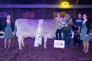 Champion OB Tiger TIMEA Schrackmann Thomas Sarnen